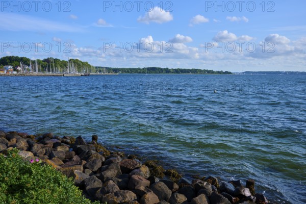Coastal scene with rocky shoreline and blue sky dotted with clouds, Heikendorf, Plön district, Kiel Fjord, Schleswig-Holstein, Germany