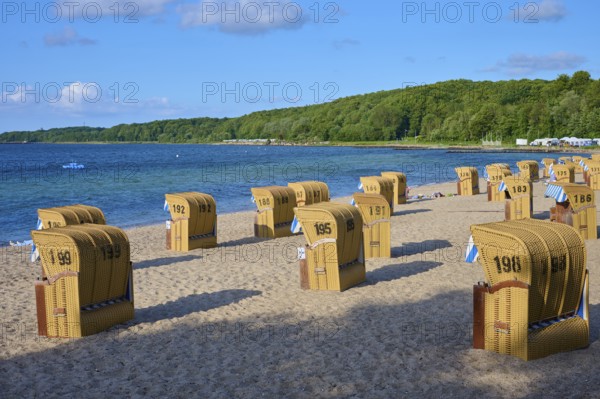 Beach chairs on a sandy beach with a wooded background and calm sea, Heikendorf, Plön district, Kiel Fjord, Schleswig-Holstein, Germany