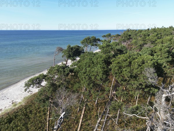Drone image of the west beach on the Fischland Darß peninsula, Mecklenburg-Western Pomerania, Germany
