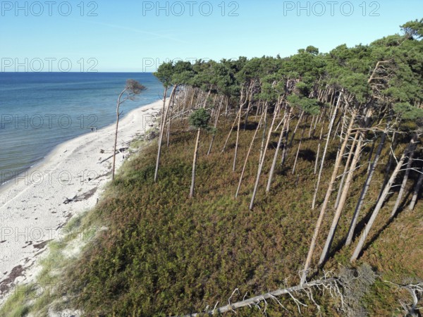 Drone image of the west beach on the Fischland Darß peninsula, Mecklenburg-Western Pomerania, Germany