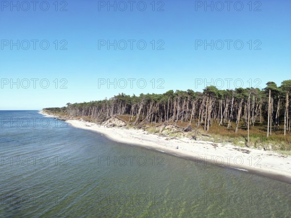 Drone image of the west beach on the Fischland Darß peninsula, Mecklenburg-Western Pomerania, Germany