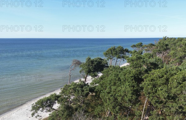 Drone image of the west beach on the Fischland Darß peninsula, Mecklenburg-Western Pomerania, Germany