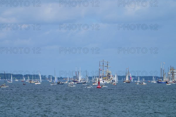 Numerous sailing boats sailing on the blue sea with a wide view of the horizon, Windjammer Parade Kiel 2025, Heikendorf, Plön district, Kiel Fjord, Schleswig-Holstein, Germany