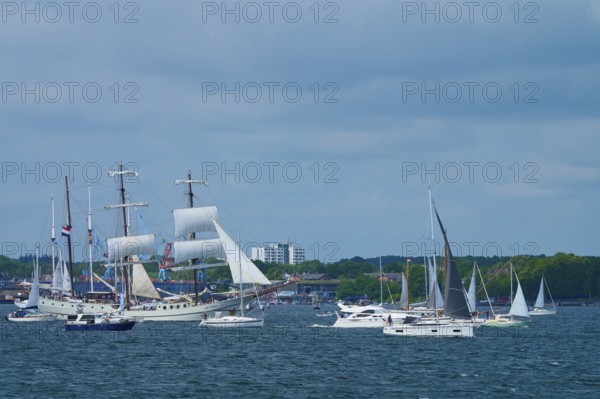 Boats and large sailors on the sea in front of a city under a blue sky, Windjammer Parade Kiel 2025, Heikendorf, Plön district, Kiel Fjord, Schleswig-Holstein, Germany