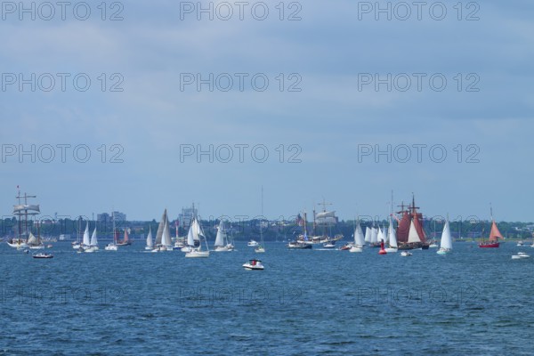 Many sailing boats in front of a city on the blue sea under a partly cloudy sky, Windjammer Parade Kiel 2025, Heikendorf, Kreis Plön, Kieler Förde, Schleswig-Holstein, Germany
