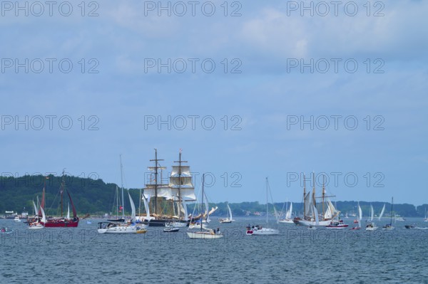 Numerous yachts and sailing ships sailing under a slightly cloudy sky, Windjammer Parade Kiel 2025, Heikendorf, Plön district, Kiel Fjord, Schleswig-Holstein, Germany