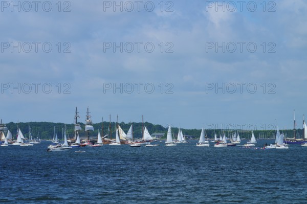 Numerous sailing boats and a large sailing ship on the open sea with a coastal view, Windjammer Parade Kiel 2025, Heikendorf, Plön district, Kiel Fjord, Schleswig-Holstein, Germany