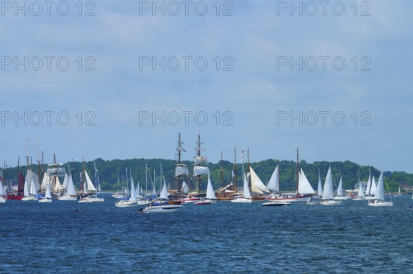 Many sailing boats and a large sailing ship on the sea under a blue sky with clouds, Windjammer Parade Kiel 2025, Heikendorf, Kreis Plön, Kieler Förde, Schleswig-Holstein, Germany