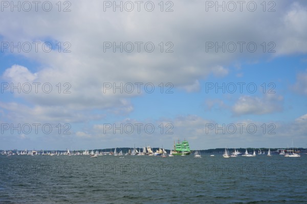 Numerous sailing boats on the sea under a slightly cloudy sky, Windjammer Parade Kiel 2025, Heikendorf, Kreis Plön, Kieler Förde, Schleswig-Holstein, Germany