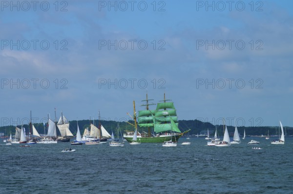 Many sailing boats on the ocean, a large green sailing ship Alexander von Humbold 2 in the centre of the scene, Windjammer Parade Kiel 2025, Heikendorf, Plön district, Kiel Fjord, Schleswig-Holstein, Germany