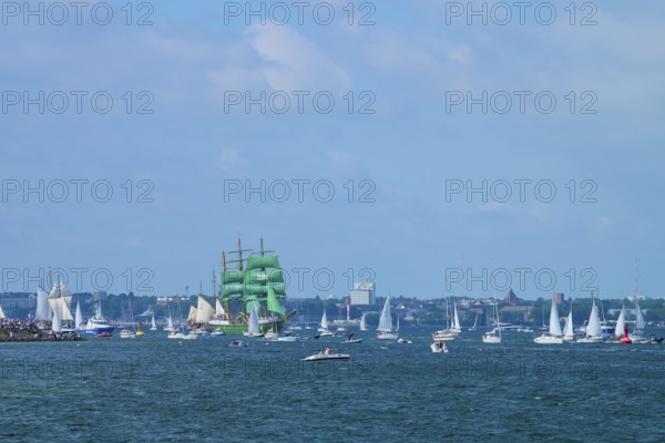 Green tall ship Alexander von Humbold 2 among many boats near a town, Windjammer Parade Kiel 2025, Heikendorf, Plön district, Kiel Fjord, Schleswig-Holstein, Germany