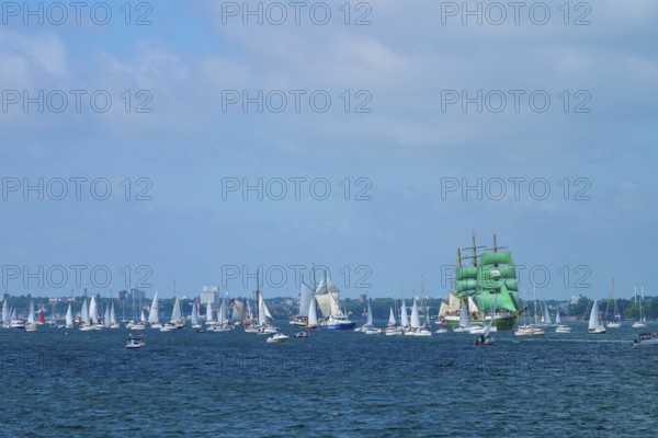 Several sailing ships on the blue sea under a slightly cloudy sky, Windjammer Parade Kiel 2025, Heikendorf, Kreis Plön, Kieler Förde, Schleswig-Holstein, Germany