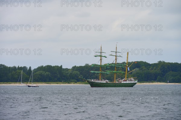 Large sailing ship with green sails Sailing Alexander von Humbold 2 on the sea in front of a wooded coast, Windjammer Parade Kiel 2025, Heikendorf, Kreis Plön, Kieler Förde, Schleswig-Holstein, Germany