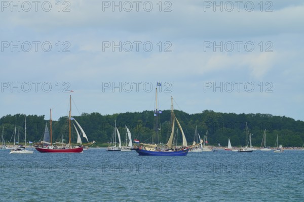 Sailing boats and yachts on calm water with wooded coastline and cloudy sky, Windjammer Parade Kiel 2025, Heikendorf, Plön district, Kiel Fjord, Schleswig-Holstein, Germany