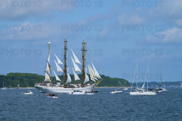 An impressive tall ship Gorch Fock with other boats on a sunny sea, Windjammer Parade Kiel 2025, Heikendorf, Kreis Plön, Kieler Förde, Schleswig-Holstein, Germany