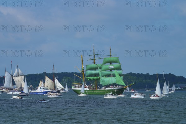 Large sailing regatta on the sea. Various ships, including a striking green sailing ship Alexander von Humbold 2, Windjammer Parade Kiel 2025, Heikendorf, Plön district, Kiel Fjord, Schleswig-Holstein, Germany
