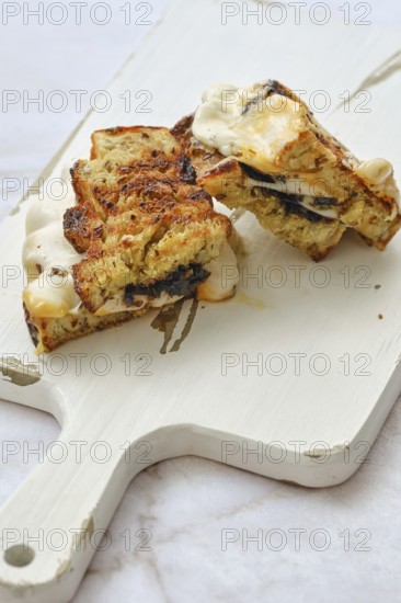 A delicious three cheese sandwich on a wooden cutting board, showcasing melted cheese and toasted bread. The warm sandwich invites you to enjoy a comforting meal in a relaxed kitchen atmosphere