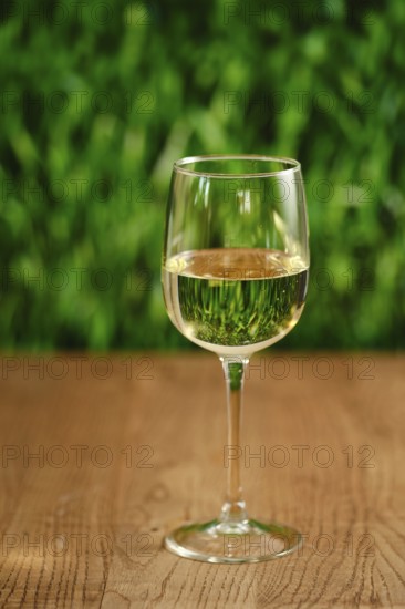 A clear glass filled with white wine sits on a smooth wooden table. The soft green background creates a calming atmosphere, perfect for relaxation and social gatherings