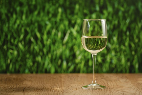 A clear glass filled with white wine on a wooden table. The backdrop features lush green grass, creating a refreshing atmosphere perfect for relaxation