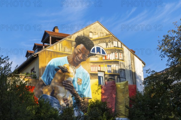 Large graffiti on a house facade, man, sportsman, dog, Märzgasse, Heidelberg, Kurpfalz, Baden-Württemberg, Germany