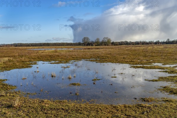 Moor landscape near the village of Bourtange, Groningen, Netherlands