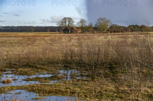 Moor landscape near the village of Bourtange, Groningen, Netherlands