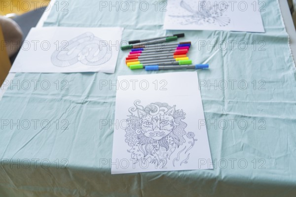 Cat mandala drawing with coloured markers on a table in an office-like environment, Youth Research Centre
