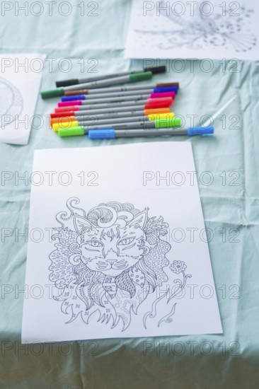Detailed cat drawing on paper with coloured markers on a table, Youth Research Centre