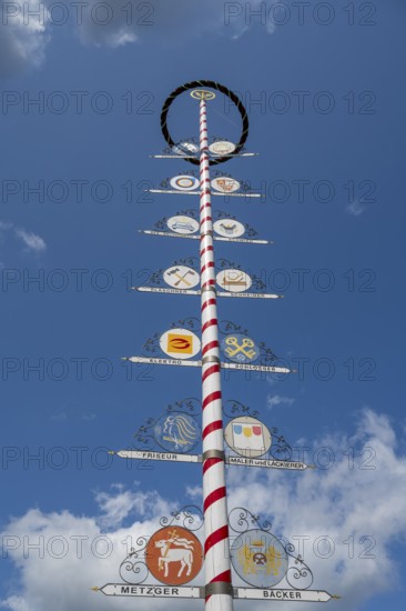 Guild tree of the craftsmen, city centre, Bayreuth, Upper Franconia, Franconia, Bavaria, Germany