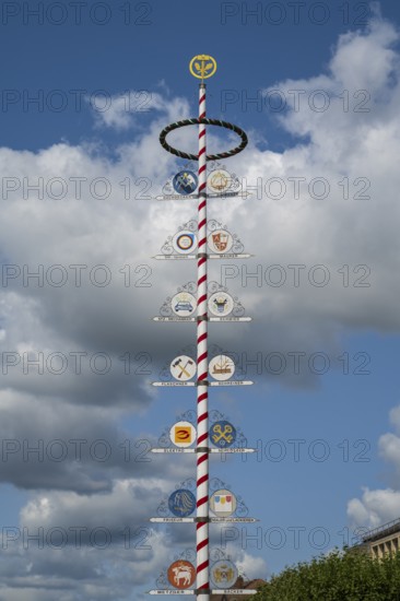 Guild tree of the craftsmen, city centre, Bayreuth, Upper Franconia, Franconia, Bavaria, Germany