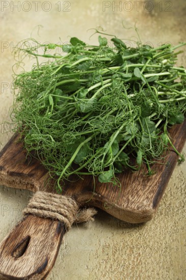 A bunch of vibrant green pea shoots lies on a rustic wooden cutting board, showcasing their delicate tendrils, ready for use in salads or as a garnish in various dishes