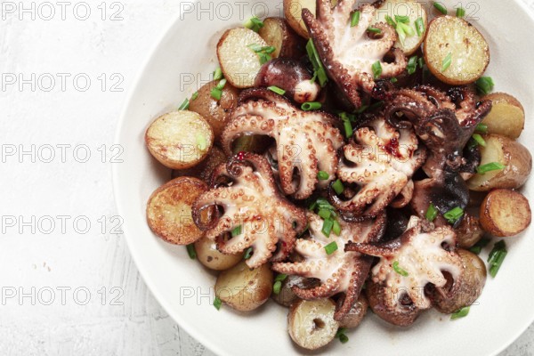 Baby grilled octopus with golden baked potatoes and fresh herbs, Maltese cuisine, homemade, no people