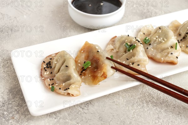 Gyoza Japanese dumplings, fried, with sauce, green onion, and sesame seeds, natural color, light background