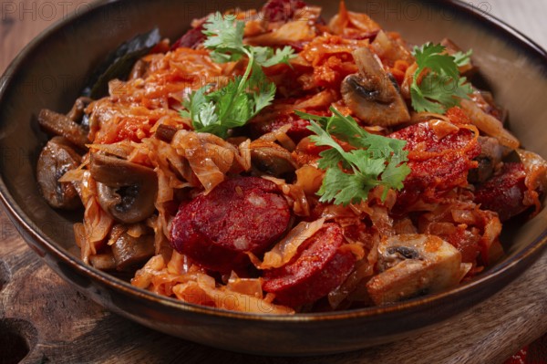 Bigos, bigos Polish dish, stew with cabbage and chorizo sausages, mushrooms, homemade, no people