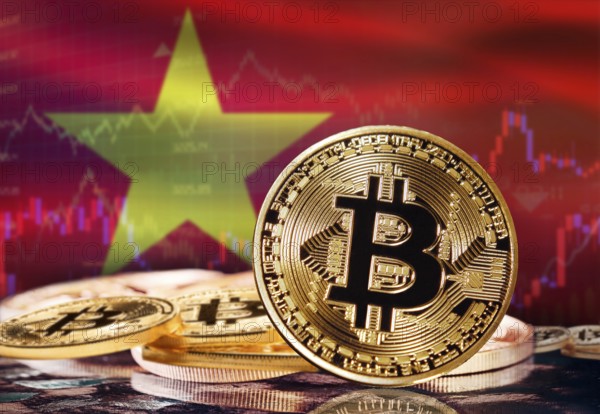 Bitcoin with Vietnam flag in the background. Investors in cryptocurrency and Blockchain Technology in Vietnam, Concept