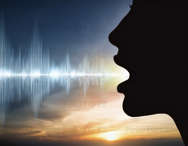 A silhouette of a person speaking with stylized sound waves emanating, set against a stunning sunset background, representing communication, sound energy, and the beauty of vocal expression, AI generated