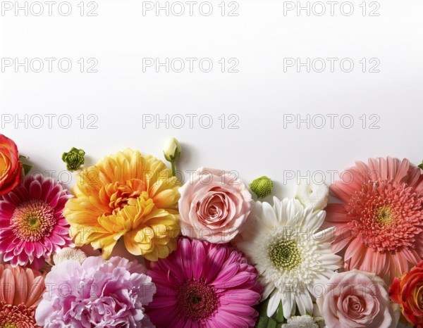 Beautiful arrangement of multiple vibrant wildflowers laid on a clean white surface, perfect for seasonal or botanical themes, reflecting natural beauty and floral diversity, AI generated