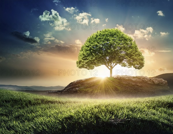 Ecology and Environment concept. Environment Earth Day In the hands of trees growing seedlings, reduce global warming, AI generated