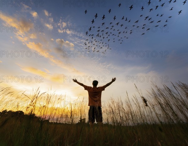A silhouetted figure standing in a vibrant field, arms wide open, admiring the beauty of the sunset, while birds fly across the colorful sky, capturing a moment of peace and wonder, AI generated