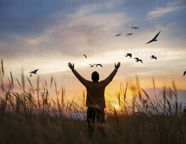 A silhouetted figure standing in a vibrant field, arms wide open, admiring the beauty of the sunset, while birds fly across the colorful sky, capturing a moment of peace and wonder, AI generated
