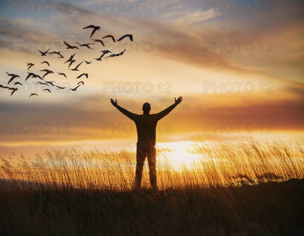 A silhouetted figure standing in a vibrant field, arms wide open, admiring the beauty of the sunset, while birds fly across the colorful sky, capturing a moment of peace and wonder, AI generated