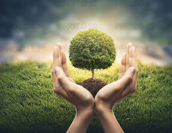Life Concept. Existence survival being consciousness. Growth of new life, AI generated