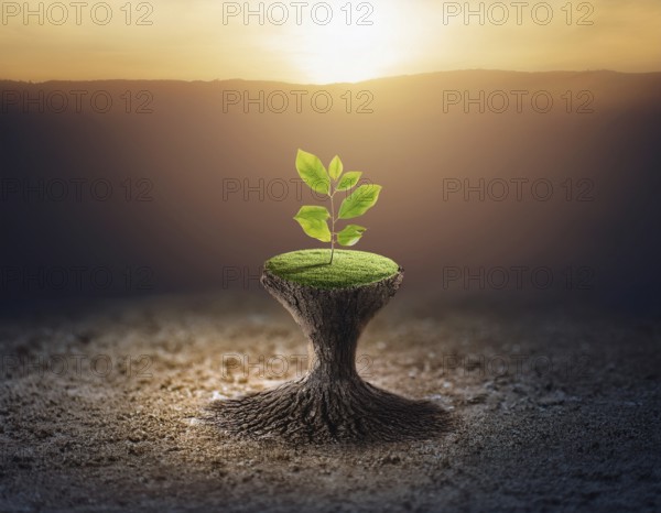 Life Concept. Existence survival being consciousness. Growth of new life, AI generated