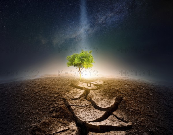 Life Concept. Existence survival being consciousness. Growth of new life, AI generated