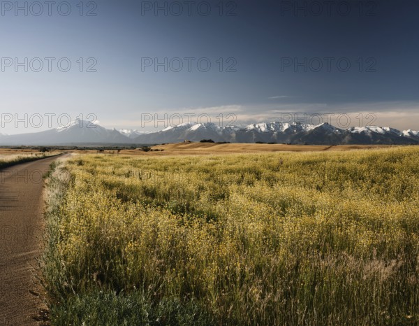 Traveling hiking concept background, AI generated