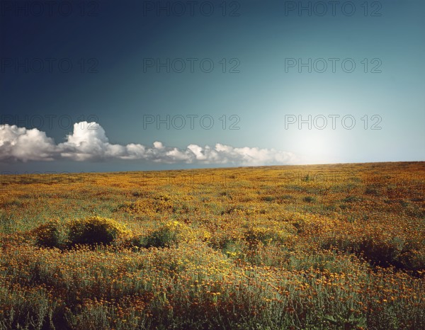 Traveling hiking concept background, AI generated