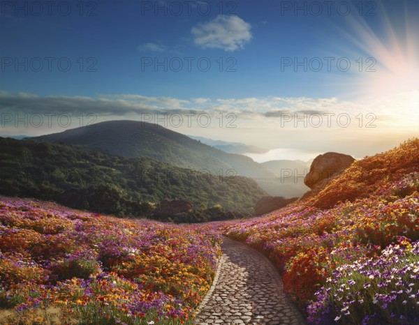 Poisitvie energy and improves her mental health from nature. inviting you to relax, AI generated