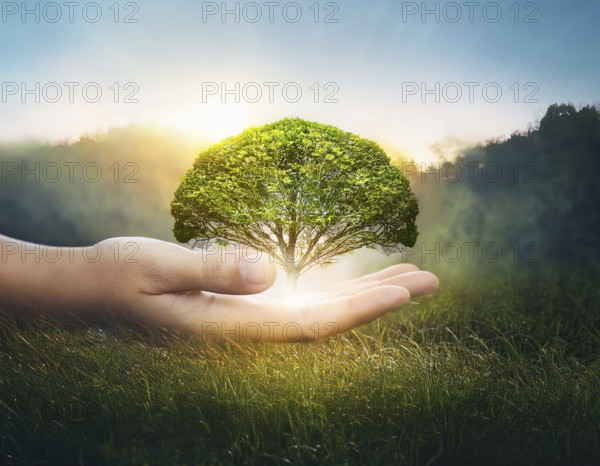 Ecology and Environment concept. Environment Earth Day In the hands of trees growing seedlings, reduce global warming, AI generated