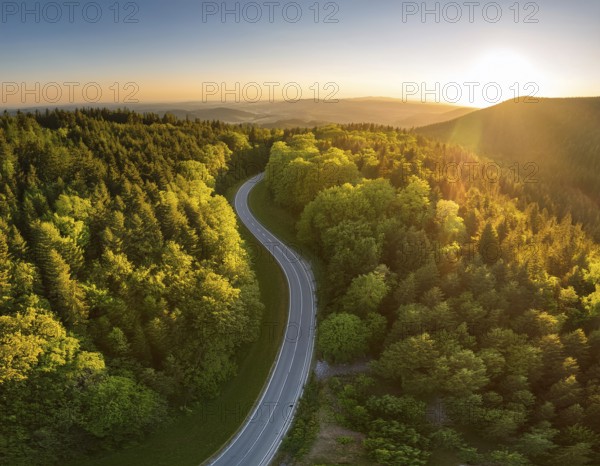 A scenic aerial view of a serpentine road surrounded by lush green forest, illuminated by soft golden hour sunlight, conveying serenity and natural beauty in a springtime setting, AI generated