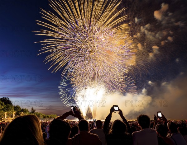 Thrilling fireworks illuminate the dark sky as a crowd gathers to enjoy the dazzling display, creating an atmosphere of festivity and wonder, AI generated
